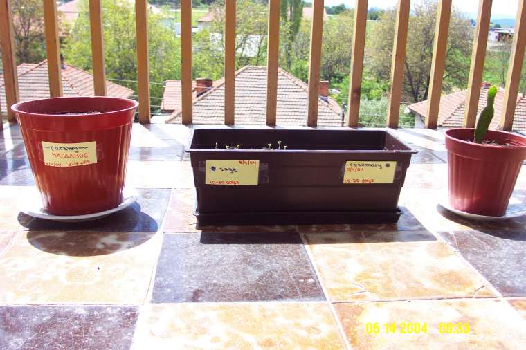 Pehcevo May 2004 004