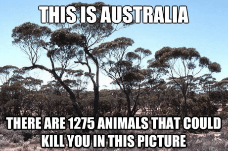 aussie-funny-1